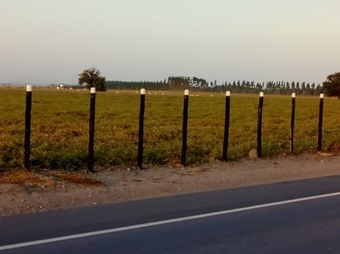 Cerca de eucalipto tratado - mão de obra imader