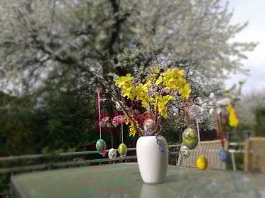 Frohe Ostern! Blick auf den blühenden Kirschbaum