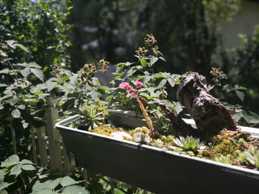 Detail von der Terrasse