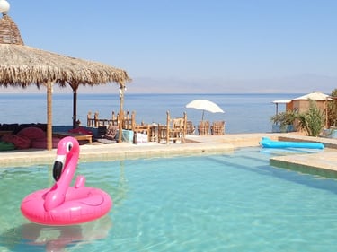 Fresh water swimming pool with an inflatable pelican and sea views at Bedouin Star camp
