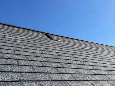 Close-up of a roofing technician inspecting a shingle roof, bright daylight, sharp focus
