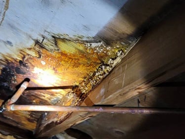 moisture and mold damage in crawl space in marietta ga. 
