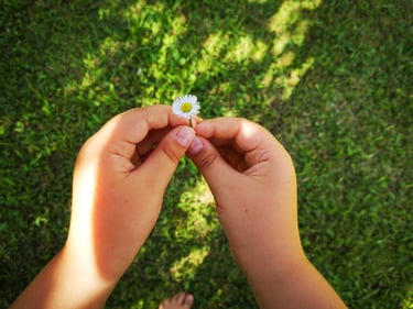 Hände eines Kleinkindes, die eine Blume halten