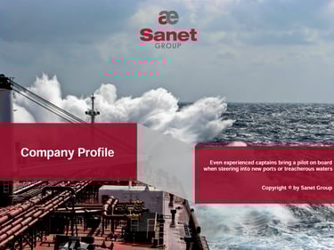 Sanet Company Profile 2024