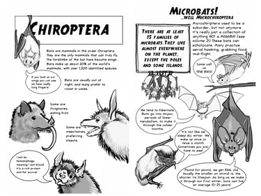 2 page spread from "Bats! Volume 1"