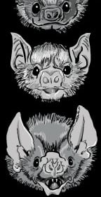 Vampire Bat sicker with text "Actual Vampires"