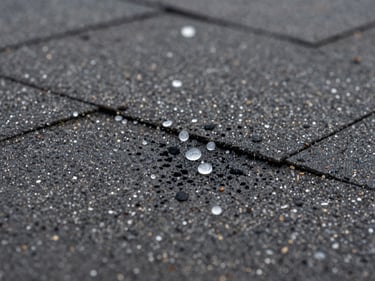 Extreme close-up of hail impact craters on dark asphalt shingles, granules displaced and bruising visible, natural flat overcast daylight, tight macro framing showing damage pattern