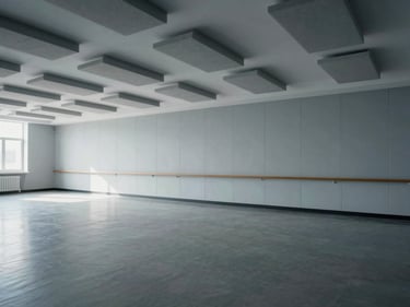Architectural photograph of an educational facility classroom showing ceiling-mounted acoustic baffles and wall treatment panels in pale gray, empty room, cool diffused north-facing daylight