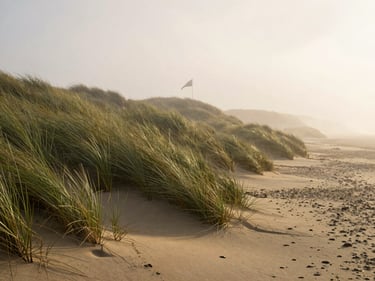 Misty morning at Bandon Dunes, rugged sand dunes with beach grass, a single flag in the distance, soft fog, 35mm