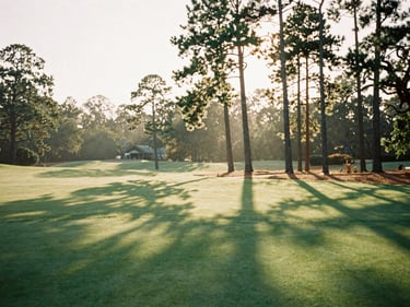 Tall pine trees casting long shadows across a perfectly manicured green at Pinehurst, warm late-afternoon light, 35mm