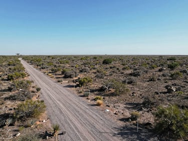 Aerial ground-level approach shot of a flat northern Mexico parcel, midday natural light, perimeter marked with survey stakes, gravel access road visible entering from the east, dry scrub vegetation, no structures, clear sky