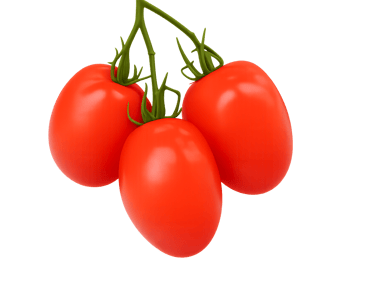 Tomate