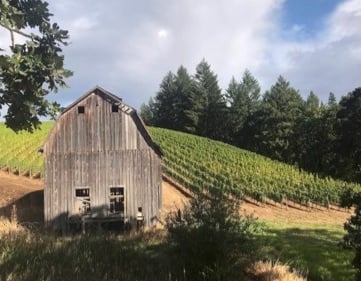Visit Colene Clemens Vineyards