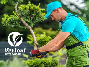 Un paysagiste professionnel taillant un arbre à feuilles pour des services d'entretien de jardin.