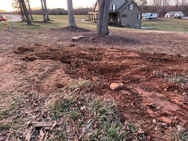 ...and now you don't! Stump all ground up and debris removed.