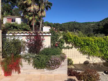 beau jardin avec nombreuses fleurs