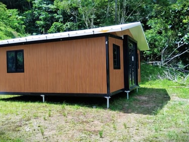 Modern wooden prefab tiny home on stilts located in a lush tropical forest clearing.
