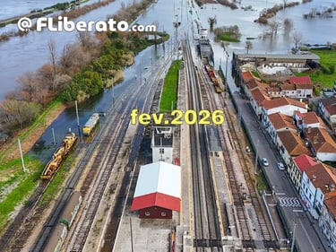 Inundações Granja do Ulmeiro Alfarelos Linha do Norte 2026