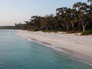 Wide shot of Kashid beach at 7am, clean white sand curving in a shallow arc, the tree line of casuarinas along the right edge, calm turquoise shallows in the foreground, soft diffuse morning light, completely empty beach
