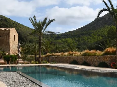 Luxury swimming pool with exposed aggregate concrete