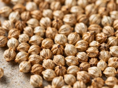 Macro close-up of dried coriander seeds on a rough stone tile under bright studio strobe, showing spherical seed form and pale golden-brown color, tight overhead framing
