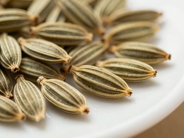 Macro close-up of dried fennel seeds arranged loosely on a white ceramic surface under diffused natural window light, showing elongated ribbed form and pale green-yellow color