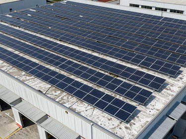 Overhead hard-daylight photograph of a large-format commercial rooftop solar array on a regional distribution warehouse, rows of panels casting sharp geometric shadows, loading dock canopies visible at bottom frame edge, no people