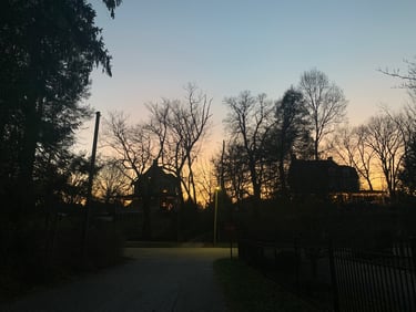 Holiday lights in Asheville