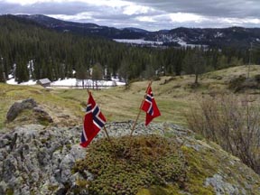 small norwegian flags planted in moss on a rock, woods, snow and mountains on the horizon