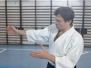 Dima Chulkin shows where is the ki-aikido way