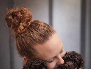 Chiots caniche de l'élevage des rives de riss