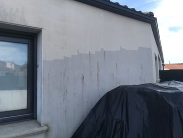 Nettoyage façade à La roche sur yon