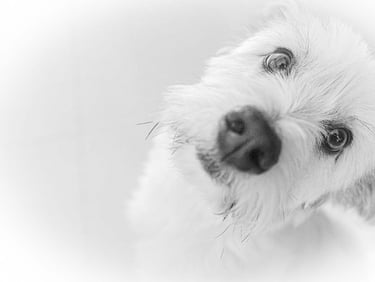 3º ClasificadoConcursillo Octubre 2025 BN