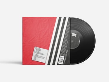 Vinyl album in a sleeve back cover