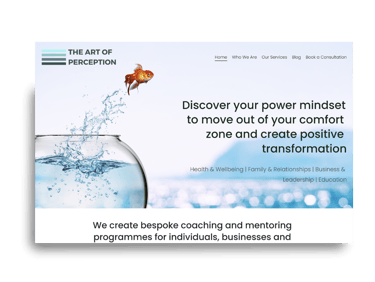 Screenshot of the Art of Perception website