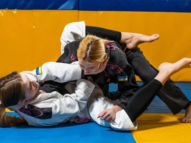BJJ (Brazilian Jiu Jitsu) classes
