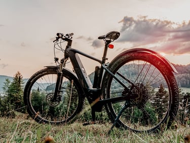 Abgestelltes E-Bike vor Naturkulisse