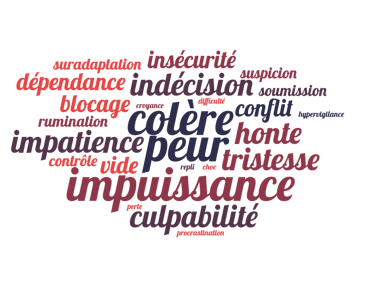 Motif de consultation colère, peur, insécurité, blocage, dépendance, tristesse, vide, conflit, difficulté, repli, culpabilité