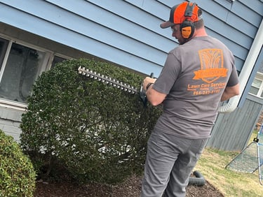 Tlc Upstate Lawn and Pest Trimming Hedges