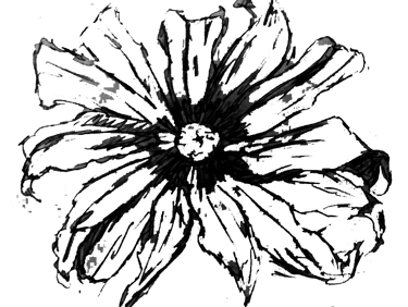 Ilustração de uma flor com doze pétalas alongadas e finas com um miolo no meio.