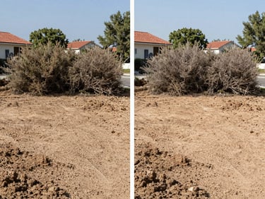 Before and after split screen of a cleared suburban plot in Attica, showing dense dry brush removed, revealing clean safe soil, bright daylight.