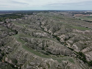 Top-down orthophoto perspective of rolling Driftless bluffs, crisp overcast daylight, muted green and earth tones, high-resolution GIS map overlay, 35mm