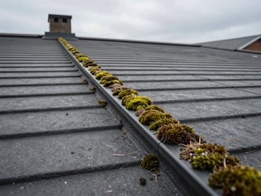Wide-angle shot looking down a clean residential rooftop, freshly cleared moss and debris visible along the gutter edge, overcast sky above
