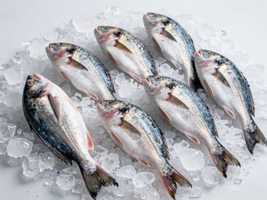 Variedad de pescados frescos, incluyendo pargo y corvina, dispuestos artísticamente sobre una cama de hielo, listos para el procesamiento.
