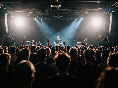Wide immersive crowd shot from behind the artist on stage, high-contrast dramatic neon stage lighting with deep shadows and lens flares, electric atmosphere, 35mm film grain