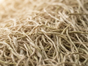 Elegant close-up of raw bamboo fibers, pure and unbleached, under warm, diffused morning light, casting gentle shadows. Focus on texture and material integrity, minimalist composition.