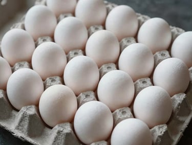 Close-up overhead shot of white standard eggs in a cardboard tray, smooth uniform shells under natural warehouse daylight, tray filling the frame edge to edge