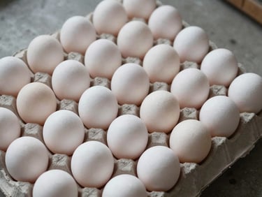 Overhead close-up of white standard eggs sorted in a flat cardboard tray on a concrete warehouse floor, natural daylight, even rows, shells showing subtle texture variation