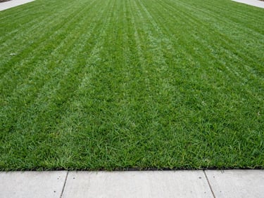 Wide shot of a freshly laid vibrant green turf lawn next to a newly poured concrete base, bright overcast daylight, natural colors with sharp contrast, 35mm