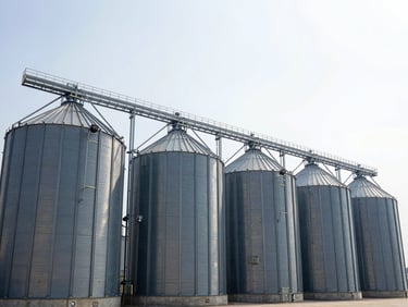 Wide panoramic shot of massive modern agricultural grain silos under a bright, high-contrast sky, clean industrial farm architecture, daylight.